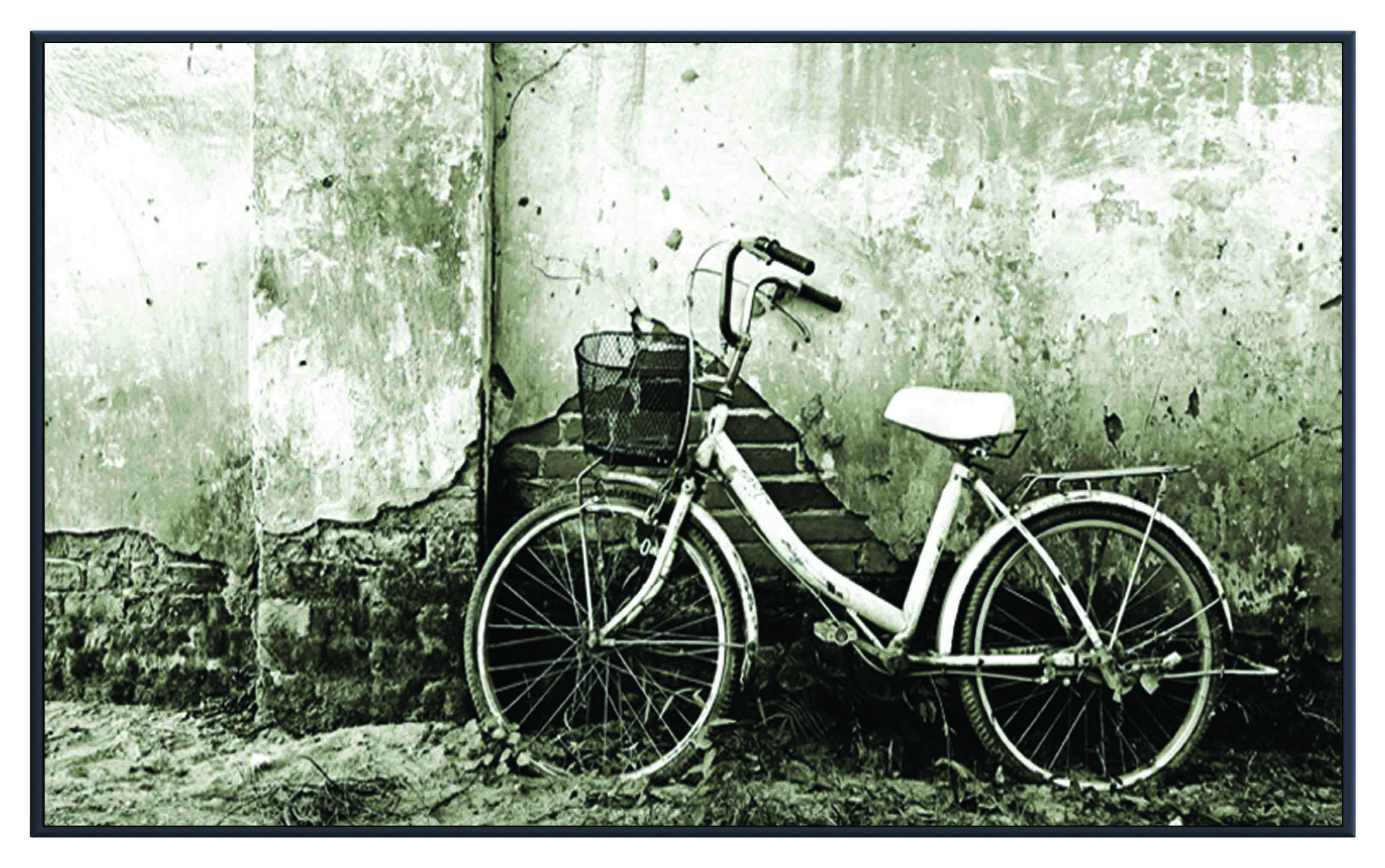 ASG204 Wall décor art printed on glass bicycle